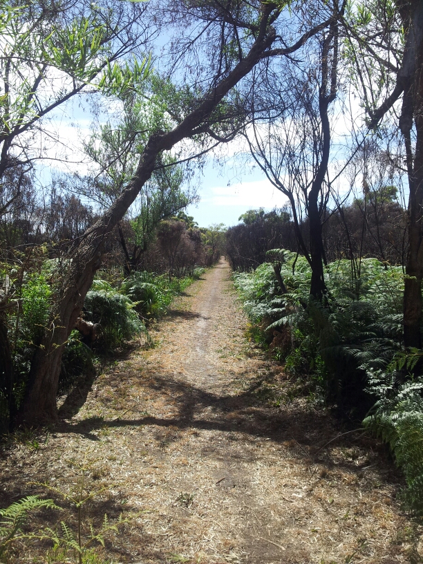 20150202_102633.jpg image