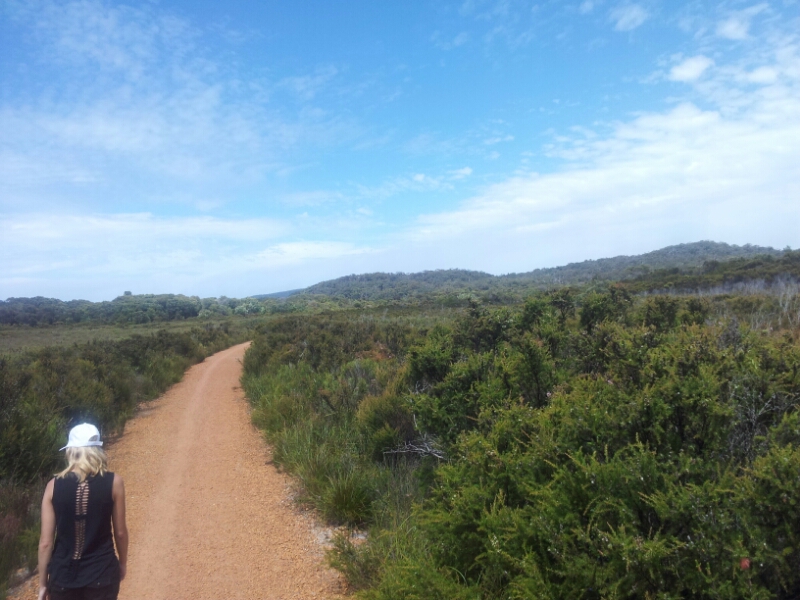 20150202_105208.jpg image