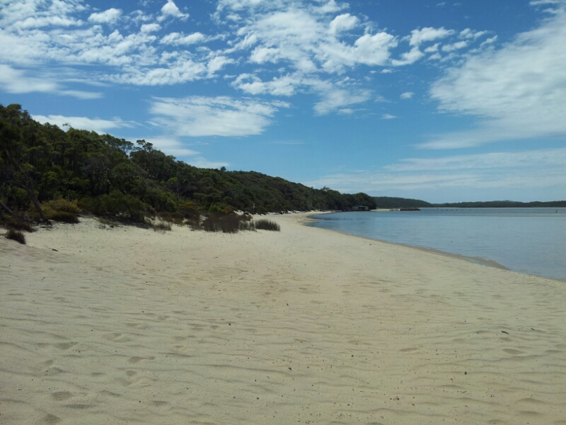 20150202_110241.jpg image