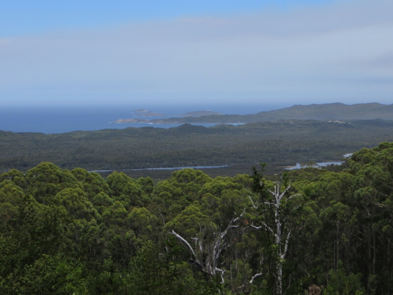 20150202_121500.jpg image